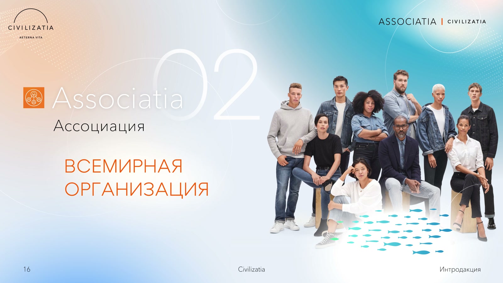 экран 17